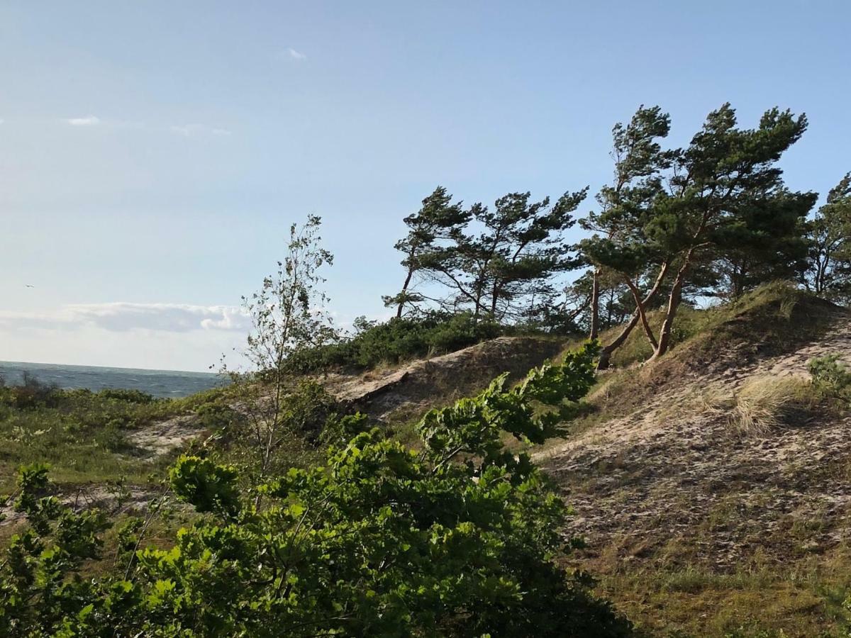 Haus Kranich Im Duenenwald 300M Zum Strand เดียร์ฮาเกิน ภายนอก รูปภาพ
